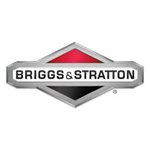 Briggs & Stratton