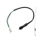 Brake Switch Arrière