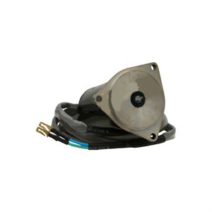 Moteur de Trim 12 Volts