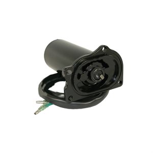 Moteur de Trim 12 Volts