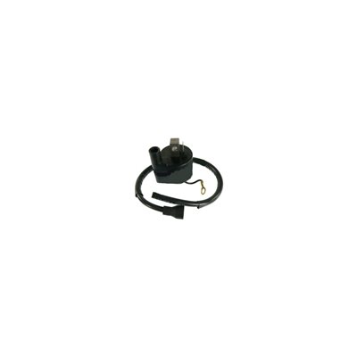 Bobine D'allumage Polaris Bobine D'allumage Polaris