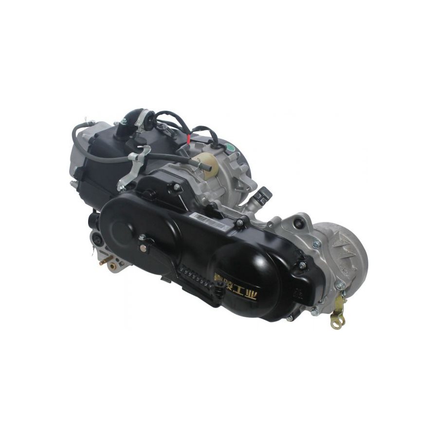 Démarreur à Tirer Pour Moteur GY6 150cc 180cc 200cc 250cc 300cc - Compatible Jinlang Jinling JLA-925E JLA-931E