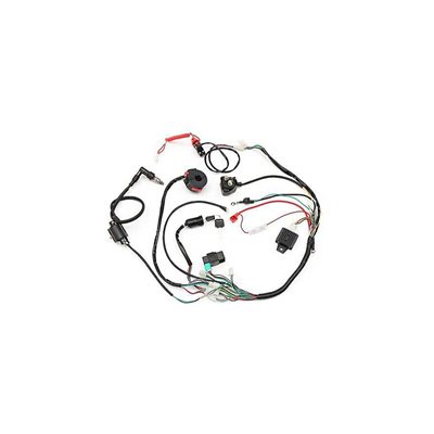 Ensemble Électrique Mini Vtt 50 A 125 CC