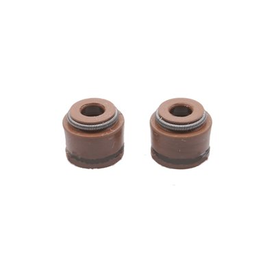 Seal De Valve 110CC (Chaque)